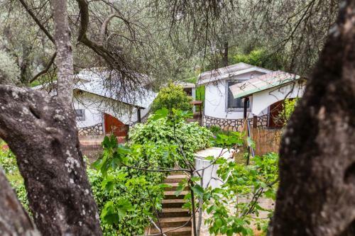 Apartamentos Raj Mira