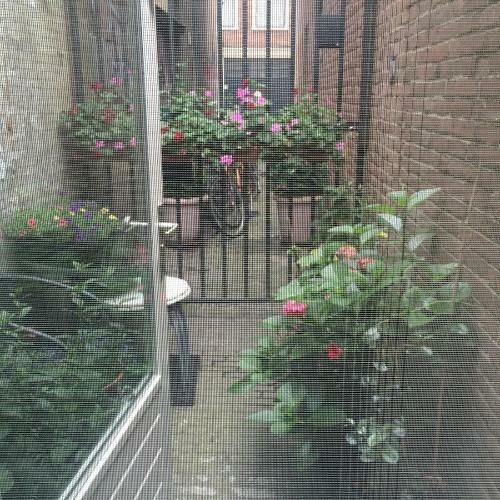 Apartamento Rose 170