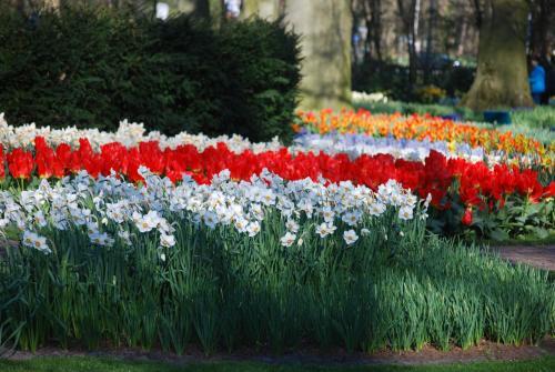 Vakantiepark Delftse Hout