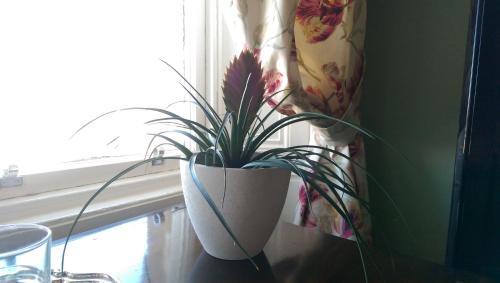 Bed & Breakfast Lochinver Guesthouse