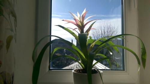 Bed & Breakfast Lochinver Guesthouse