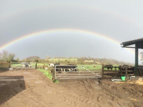 Rew Farm Country & Equestrian Accommodation
