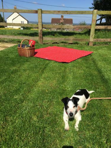 Rew Farm Country & Equestrian Accommodation