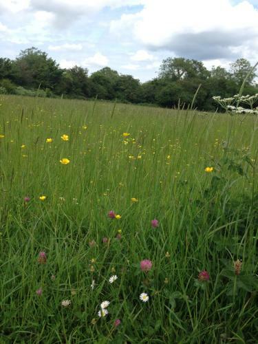 Rew Farm Country & Equestrian Accommodation