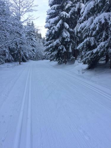 Apartments D?evona II