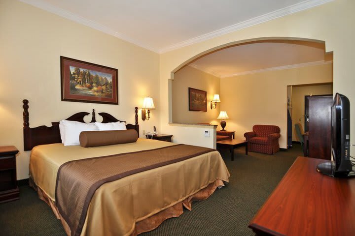 Hotel Best Western Houston Inn And Suites
