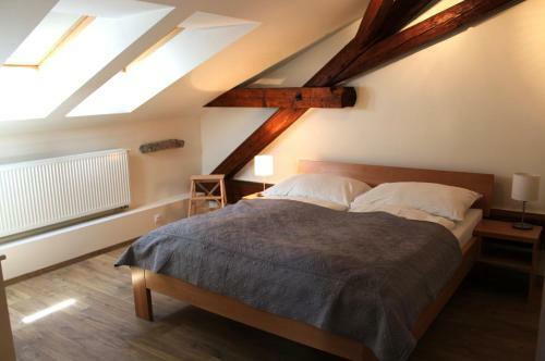 Hostal Caf� Havl�?ek Penzion