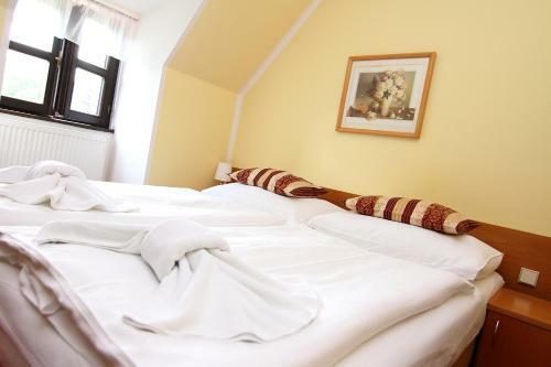 Hotel Z�mek Hav�?ov