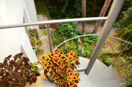 Apartamento Anna's Rest House