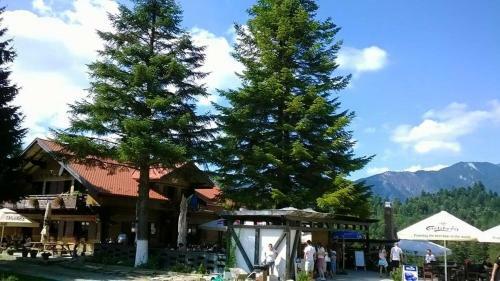 Hostal Cabana Poiana Secuilor