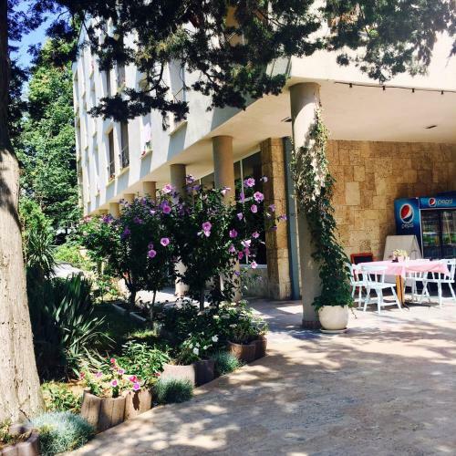 Hotel Carmen