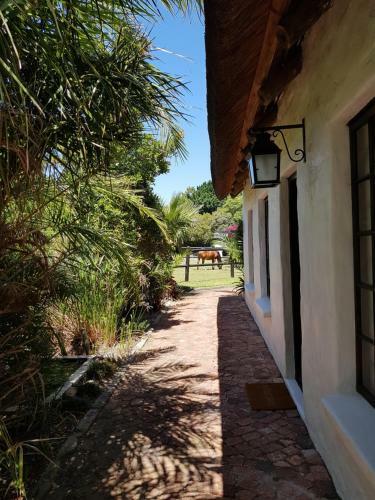 Buren Cottage