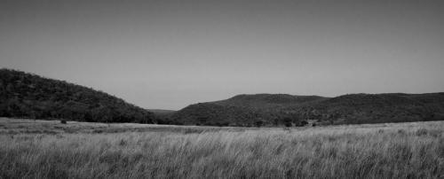 Izapa Bush And Game Lodge