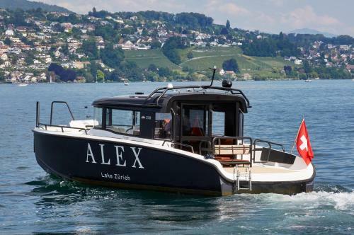 Hotel Alex Lake Zurich