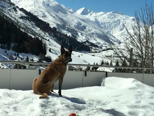 Hostal Bnb Bellavista-privatzimmer Andermatt