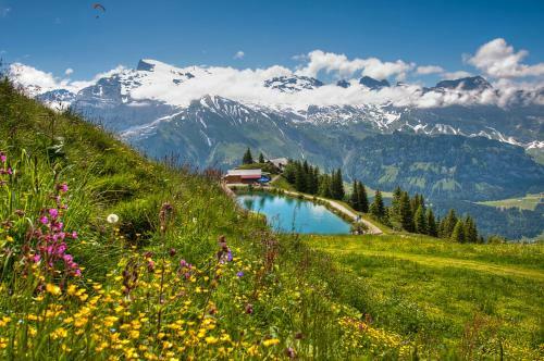 Albergue Berglodge Ristis