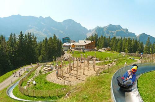 Albergue Berglodge Ristis