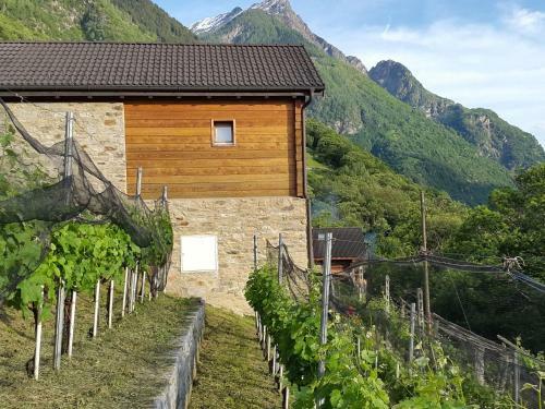 Agroturismo Holiday Home C� Sul�va