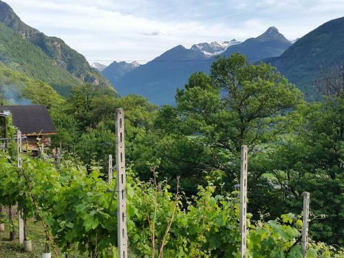 Agroturismo Holiday Home C� Sul�va