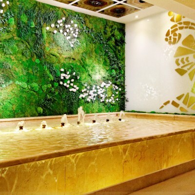 Hotel Mayorazgo