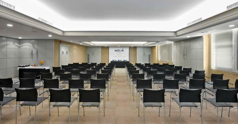 Hotel Meli� Castilla