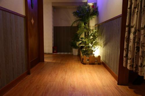 Albergue Wonderful Hall Hotel