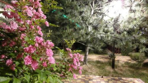 Hostal Villa Sosnovy Bor