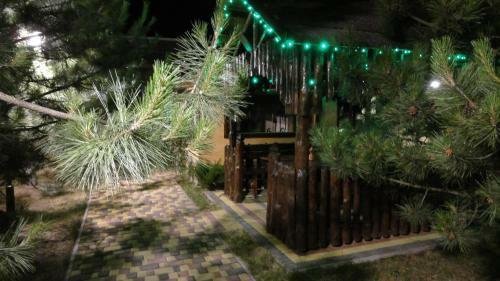 Hostal Villa Sosnovy Bor