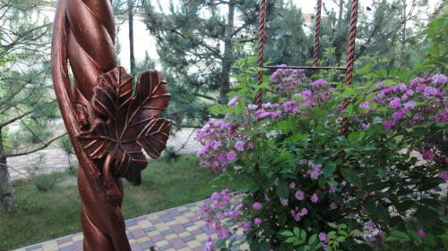 Hostal Villa Sosnovy Bor