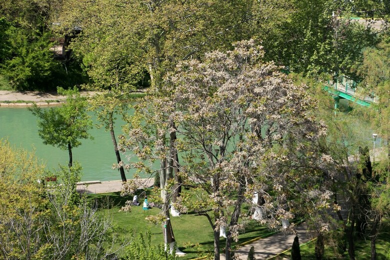 Rohat Hotel