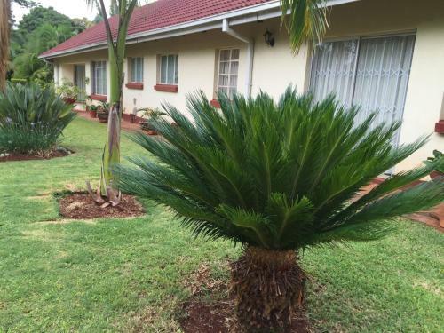 Palm Villa
