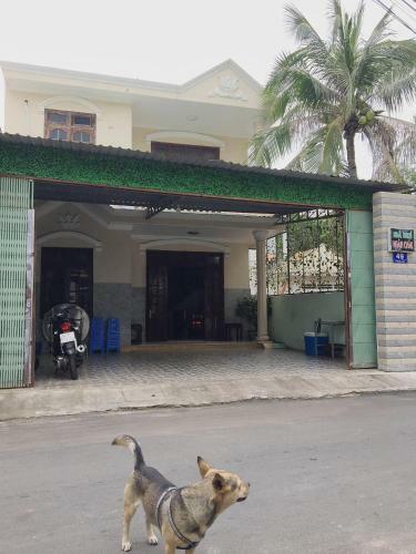 Hostal Ngan Chau Villa Guesthouse