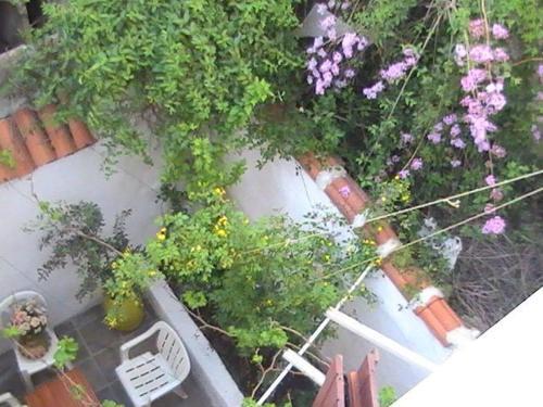Hostal Hayat Alti Guest House