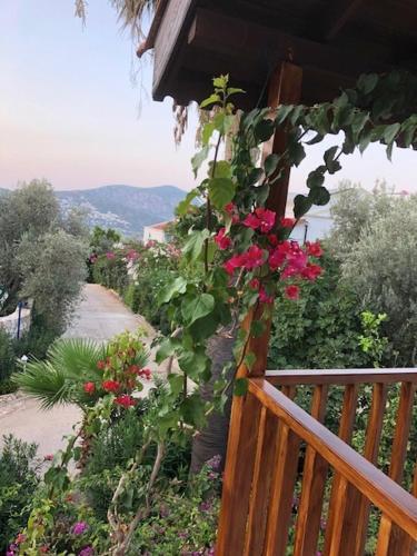 Likya Villa 44