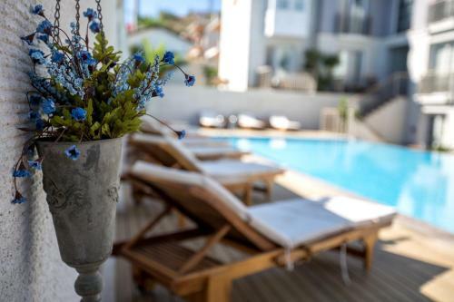 Hotel Alalucca- Adult Only
