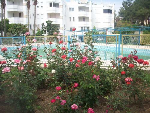 Apartamento Alis Camlik