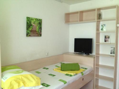 Apartment Privokzalniy