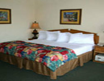 Hotel Best Western Grand Strand Inn & Suites