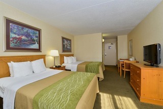 Hotel Comfort Inn And Suites