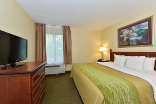Hotel Comfort Inn And Suites