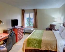 Hotel Comfort Inn And Suites