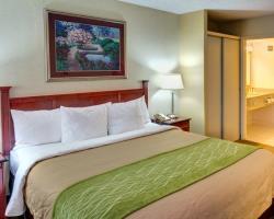 Hotel Comfort Inn And Suites
