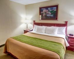 Hotel Comfort Inn And Suites