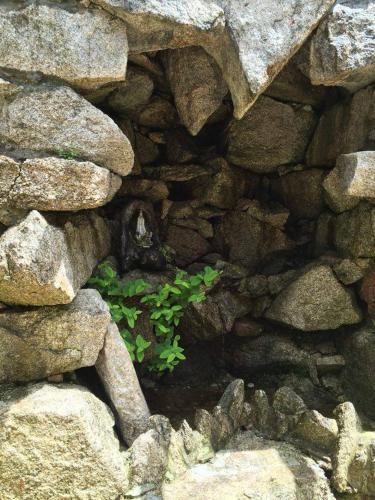 Geresiana Apartamentos