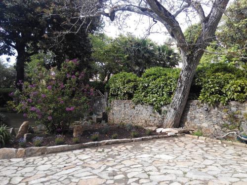 Bed & Breakfast Guest House Villa Dos Poetas