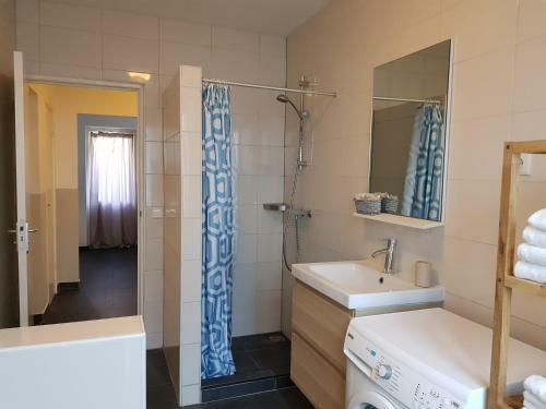 Apartment Wilhelminastraat