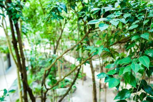 Apartamento Condo Hotel El Vivero Tulum