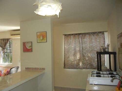 Apartamento The Cozy Studio