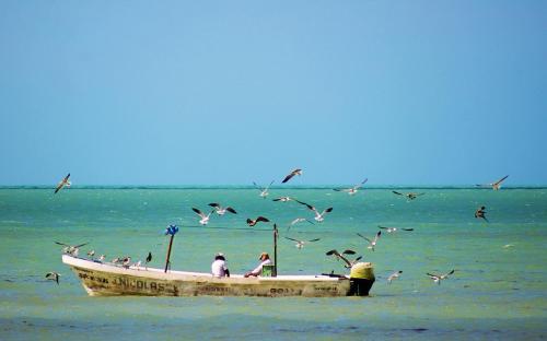 Hotel Holbox Casa Punta Coco - Adults Only