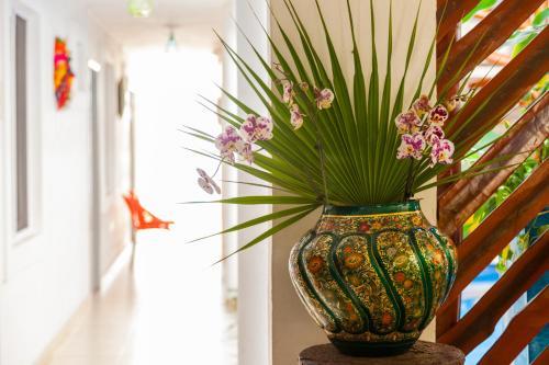 Hotel Mestizo Gallery